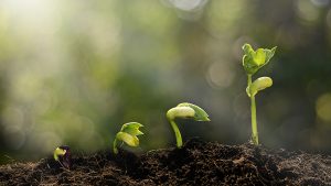 iStock-517044090-800